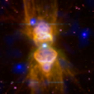 Meet your Posher, Jackson